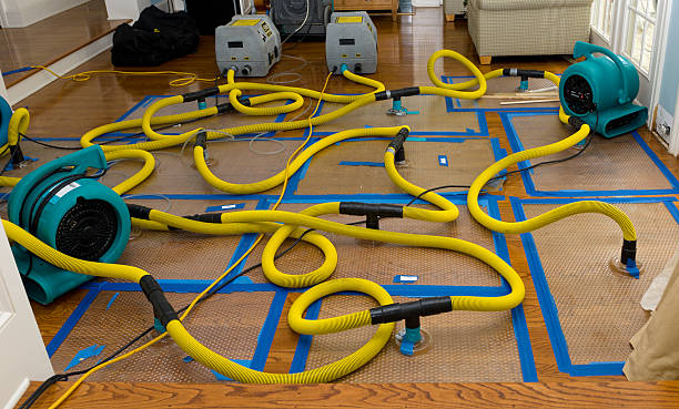 Professional Structural Drying And Dehumidification technician working in Milan, IN